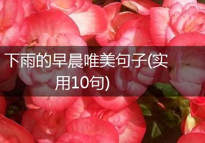 下雨的早晨唯美句子(实用10句)
