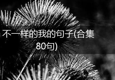不一样的我的句子(合集80句)