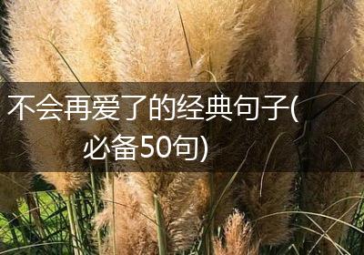 不会再爱了的经典句子(必备50句)