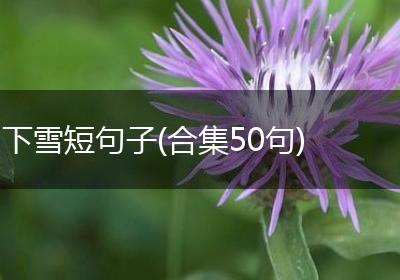 下雪短句子(合集50句)