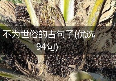 不为世俗的古句子(优选94句)