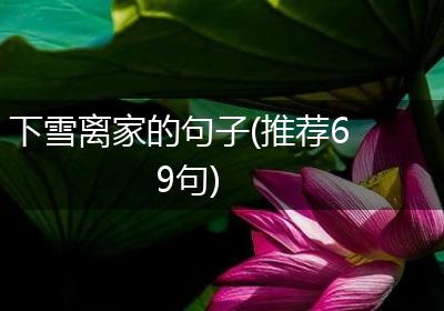 下雪离家的句子(推荐69句)