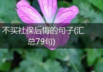 不买社保后悔的句子(汇总79句)