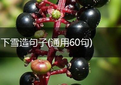 下雪造句子(通用60句)