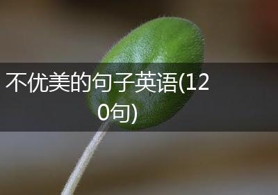 不优美的句子英语(120句)