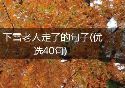 下雪老人走了的句子(优选40句)