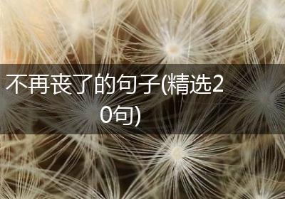 不再丧了的句子(精选20句)
