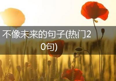 不像未来的句子(热门20句)