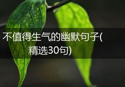 不值得生气的幽默句子(精选30句)