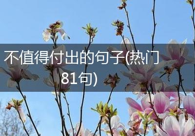 不值得付出的句子(热门81句)