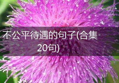 不公平待遇的句子(合集20句)