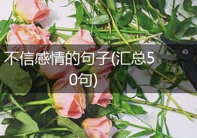 不信感情的句子(汇总50句)
