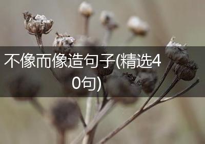 不像而像造句子(精选40句)