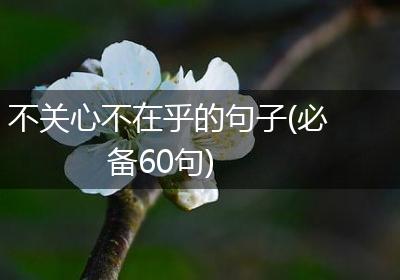 不关心不在乎的句子(必备60句)