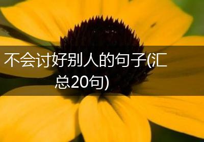 不会讨好别人的句子(汇总20句)