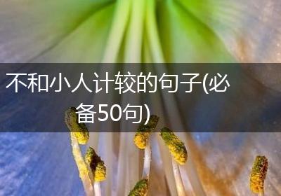 不和小人计较的句子(必备50句)