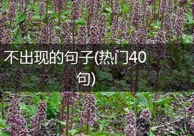 不出现的句子(热门40句)