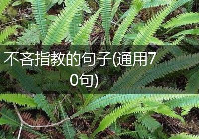 不吝指教的句子(通用70句)