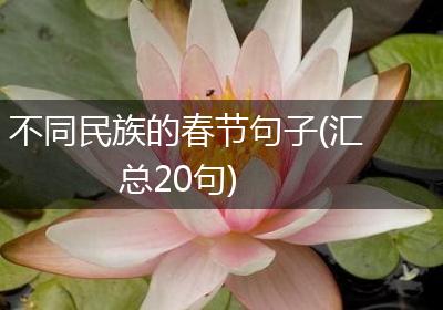 不同民族的春节句子(汇总20句)