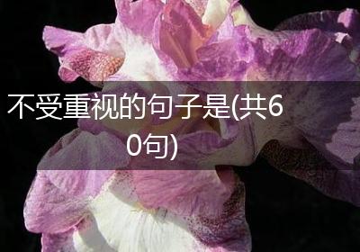 不受重视的句子是(共60句)
