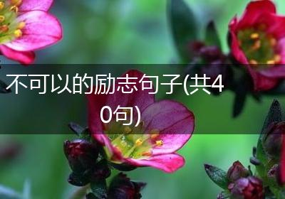 不可以的励志句子(共40句)