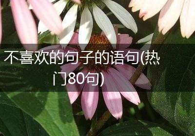 不喜欢的句子的语句(热门80句)