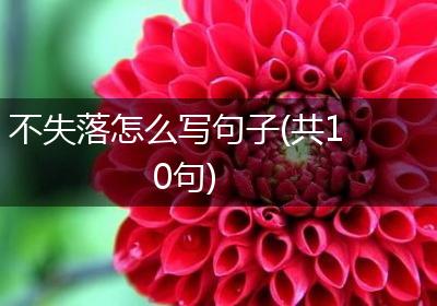 不失落怎么写句子(共10句)