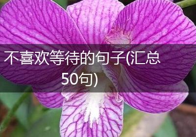 不喜欢等待的句子(汇总50句)