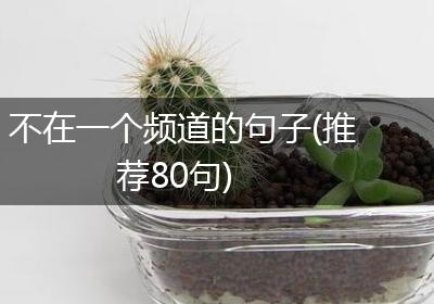 不在一个频道的句子(推荐80句)