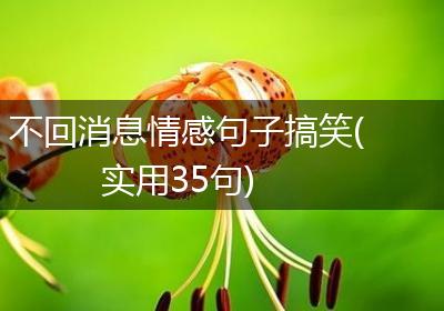 不回消息情感句子搞笑(实用35句)