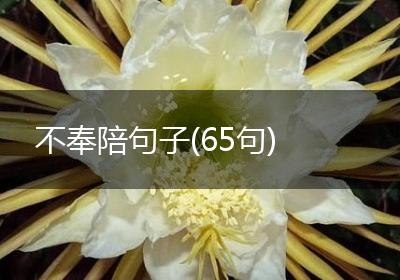 不奉陪句子(65句)