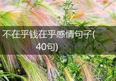 不在乎钱在乎感情句子(40句)