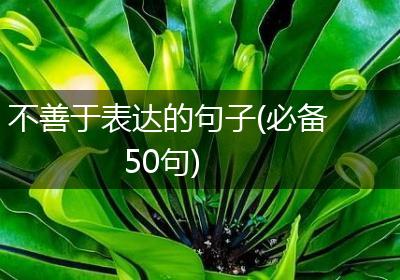不善于表达的句子(必备50句)