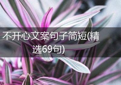 不开心文案句子简短(精选69句)