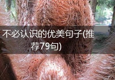 不必认识的优美句子(推荐79句)