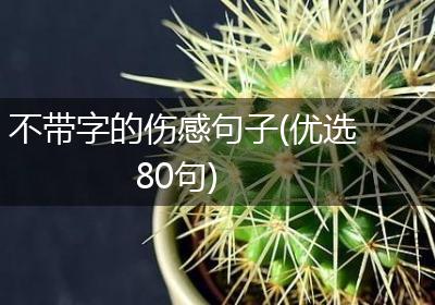 不带字的伤感句子(优选80句)