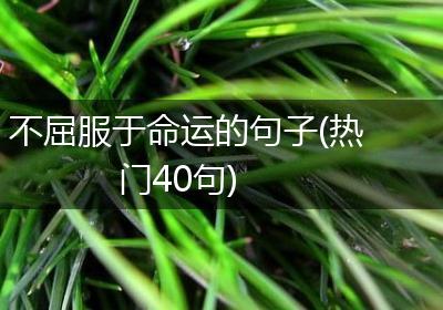 不屈服于命运的句子(热门40句)