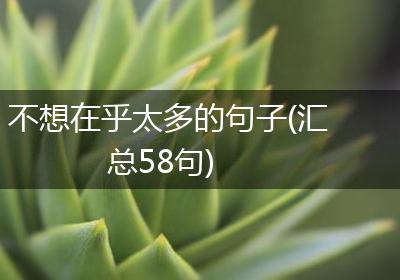不想在乎太多的句子(汇总58句)