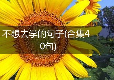 不想去学的句子(合集40句)