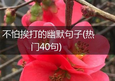 不怕挨打的幽默句子(热门40句)