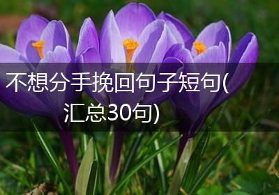 不想分手挽回句子短句(汇总30句)