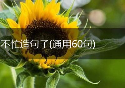 不忙造句子(通用60句)