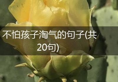 不怕孩子淘气的句子(共20句)