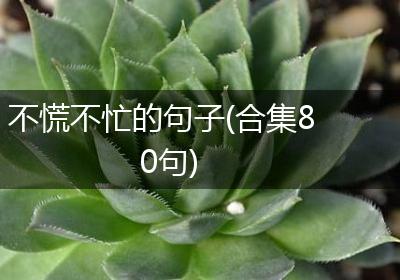 不慌不忙的句子(合集80句)