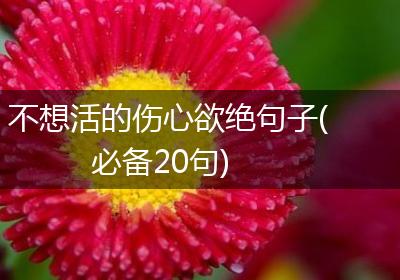 不想活的伤心欲绝句子(必备20句)