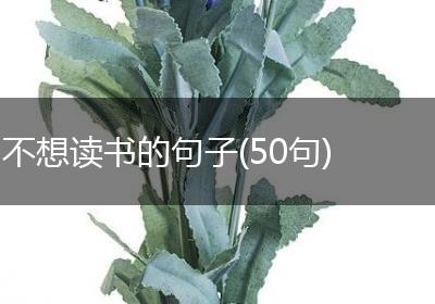 不想读书的句子(50句)