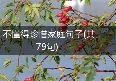 不懂得珍惜家庭句子(共79句)