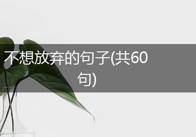 不想放弃的句子(共60句)