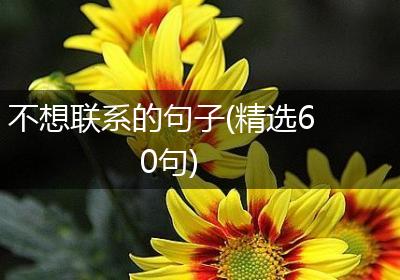 不想联系的句子(精选60句)