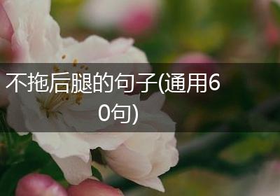 不拖后腿的句子(通用60句)